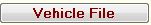 Vehicle File
